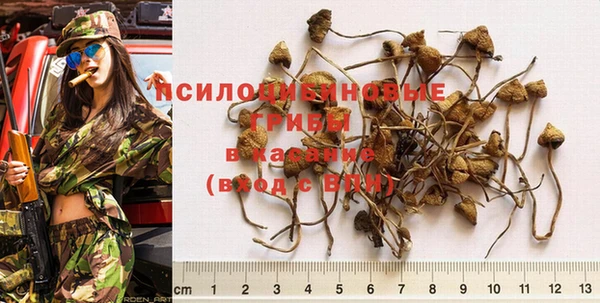 jwh Армянск