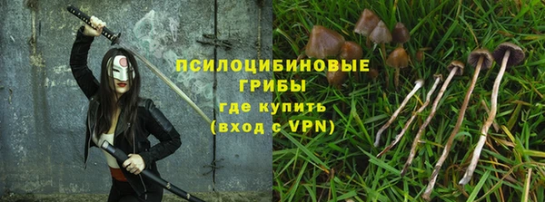 хмурый Алексеевка