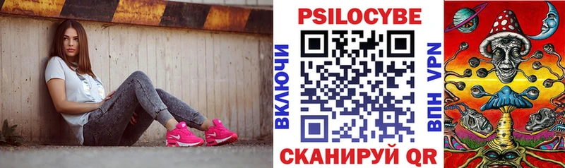 OMG сайт Миасс Псилоцибиновые грибы Psilocybine cubensis наркотики